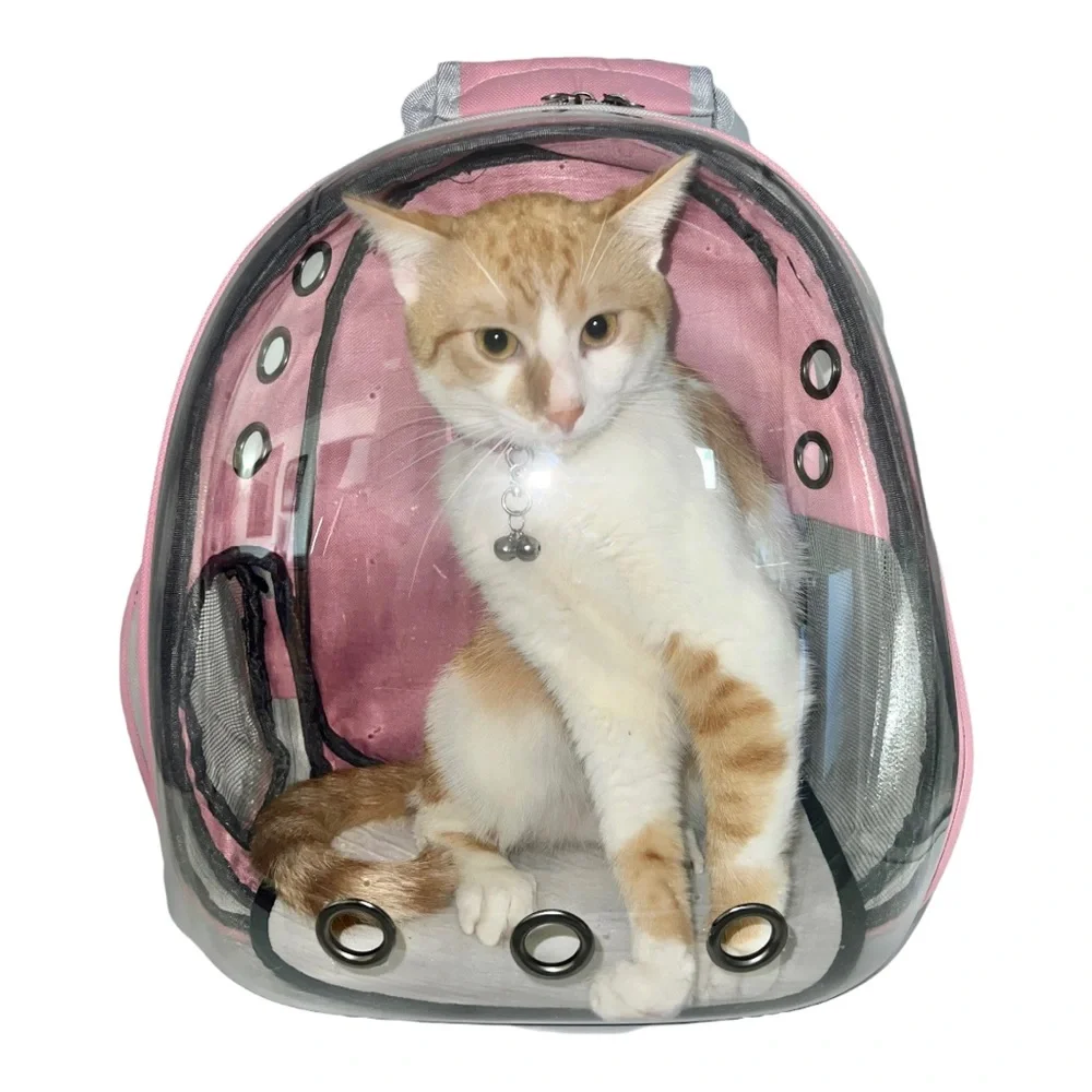 Pet Carrier Backpack